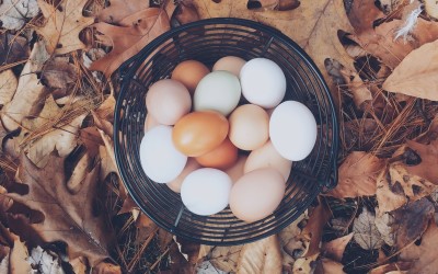 How To Hard Boil Eggs